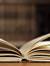 Erin- SeRiAL Book Reader Whittenberger