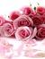 Esha Sajjad