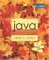 Java Software Solutions (Java 5.0 version): Foundations of Program Design