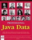 Professional Java Data