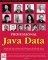 Professional Java Data