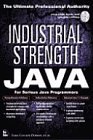 Industrial Strength Java: With CDROM