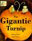 Gigantic Turnip by Alexei Nikolayevich Tolstoy