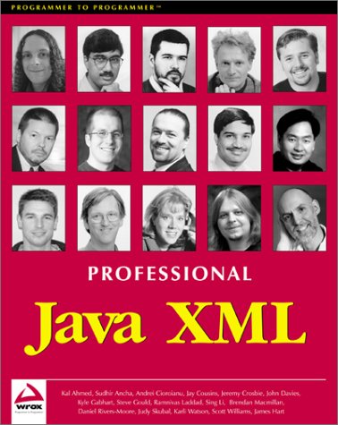 Professional Java Xml