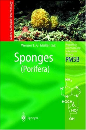 Sponges (Porifera) (Progress In Molecular And Subcellular Biology / Marine Molecular Biotechnology) Werner E.G. Müller Sponges (Porifera) (Progress In Molecular And Subcellular Biology / Marine Molecular Biotechnology) Werner E.G. Müller