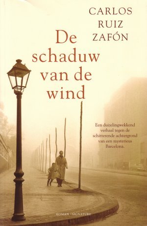 De schaduw van de wind