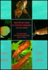 Freshwater Fish of Western Indonesian & Sulawesi