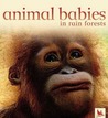Animal Babies in Rain Forests Animal Babies in Rain Forests