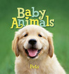 Baby Animals Pets Baby Animals Pets
