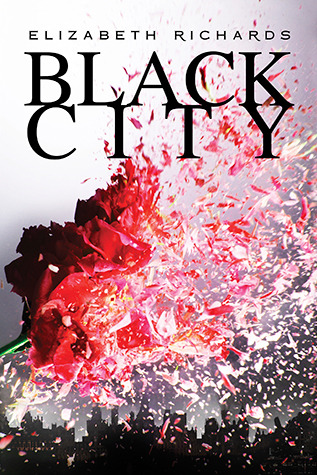 Black City (Black City, #1)