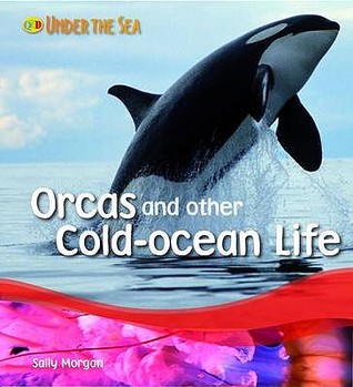 Orcas And Other Cold Ocean Life Sally Morgan Orcas And Other Cold Ocean Life Sally Morgan