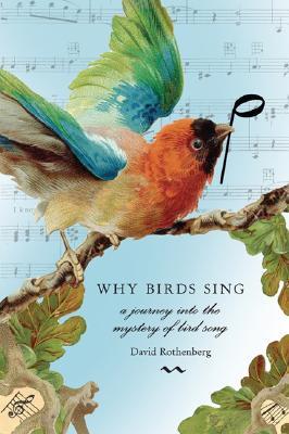 why birds sing a journey into the mystery of birdsong by why birds sing a journey into the mystery of birdsong by