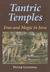 Tantric Temples: Eros and Magic in Java