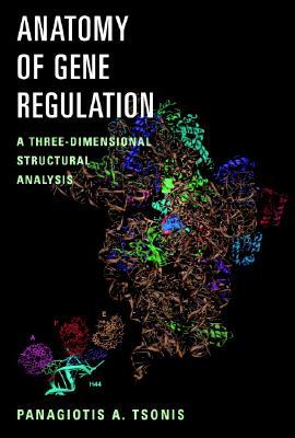 Anatomy of Gene Regulation: A Three-Dimensional Structural Analysis Panagiotis A. Tsonis Anatomy of Gene Regulation: A Three-Dimensional Structural Analysis Panagiotis A. Tsonis