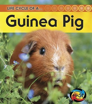 Guinea Pig Angela Royston Guinea Pig Angela Royston