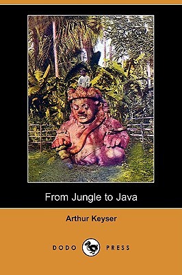 From Jungle to Java