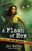 A Flash of Hex (OSI, #2) by Jes Battis
