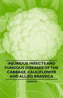 Injurious Insects and Fungous Diseases of the Cabbage, Cauliflower and Allied Brassica Various Injurious Insects and Fungous Diseases of the Cabbage, Cauliflower and Allied Brassica Various