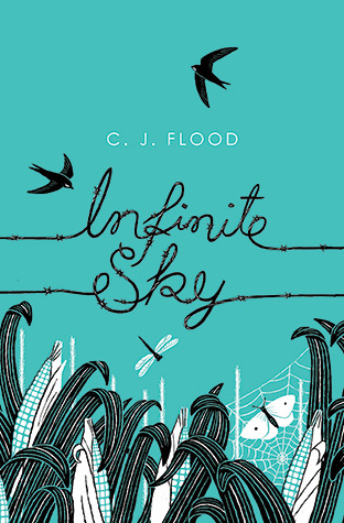 Infinite Sky (Infinite Sky, #1)