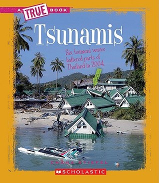 Tsunamis Chana Stiefel Tsunamis Chana Stiefel