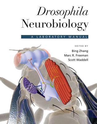 Drosophila Neurobiology: A Laboratory Manual Bing Zhang Drosophila Neurobiology: A Laboratory Manual Bing Zhang