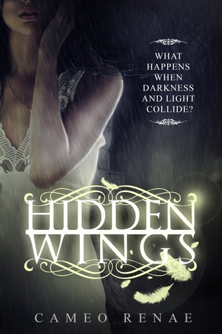 Hidden Wings (Hidden Wings, #1)