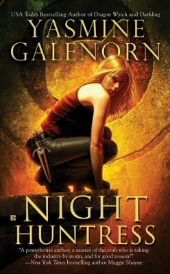 Night Huntress (Otherworld / Sisters of the Moon #5)