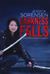 Darkness Falls (Darkness Falls, #1) by Jessica Sorensen