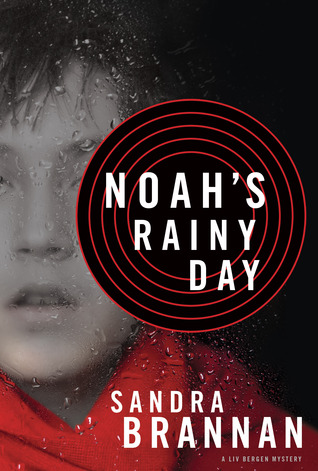 Noah's Rainy Day by Sandra Brannan