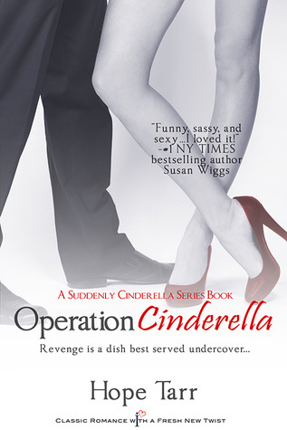 Operation Cinderella (Suddenly Cinderella, #1)