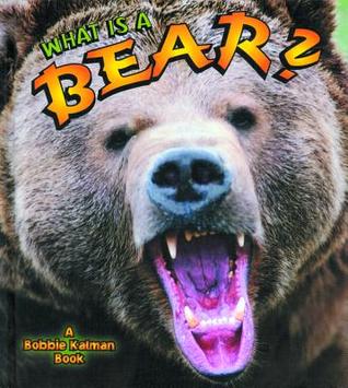 What Is a Bear? Bobbie Kalman What Is a Bear? Bobbie Kalman