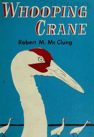 whooping crane