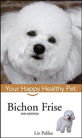 bichon frise