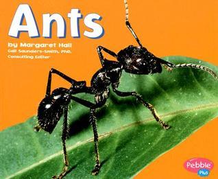 Ants (Bugs, Bugs, Bugs!)