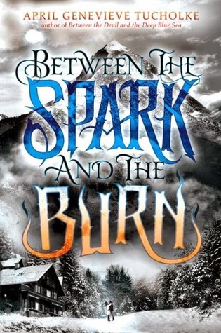 https://www.goodreads.com/book/show/18667954-between-the-spark-and-the-burn