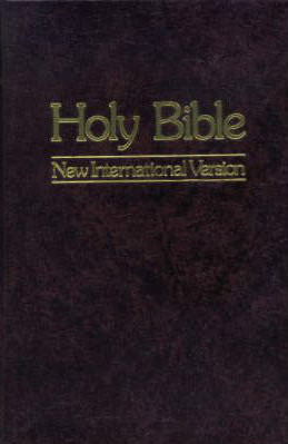 download niv bible pdf