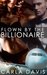 Flown By The Billionaire, Part I