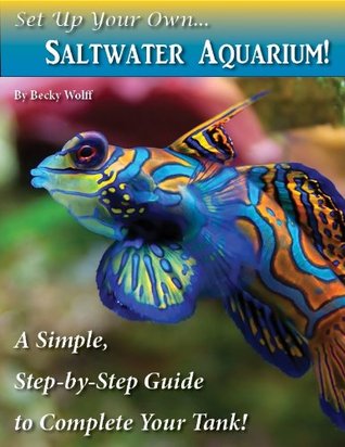 Set Up Your Own Saltwater Aquarium! Becky Wolff Set Up Your Own Saltwater Aquarium! Becky Wolff
