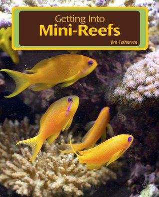 Getting Into Mini Reefs Jim Fatheree Getting Into Mini Reefs Jim Fatheree
