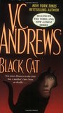 Black Cat
