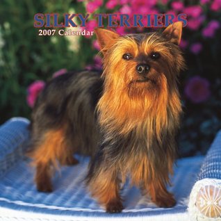 Silky Terriers 2007 Calendar NOT A BOOK Silky Terriers 2007 Calendar NOT A BOOK