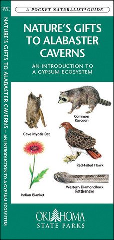 Natures Gifts to Alabaster Caverns: An Introduction to a Gypsum Ecosystem James Kavanagh Natures Gifts to Alabaster Caverns: An Introduction to a Gypsum Ecosystem James Kavanagh