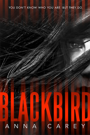 Blackbird (Blackbird Duology, #1)