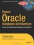 Expert Oracle Database Architecture: 9i and 10g Programming Techniques and Solutions