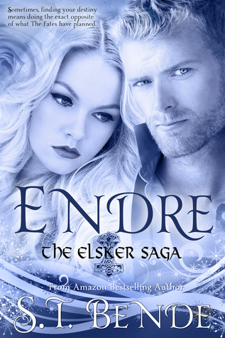 Endre (The Elsker Saga #2)