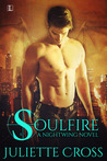 Soulfire (Nightwing, #1)