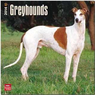 Greyhounds Calendar NOT A BOOK Greyhounds Calendar NOT A BOOK