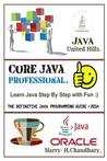 Core Java Professional: Learn Java Step by Step with Fun.: The Definitive Java Programming Guide 2014.