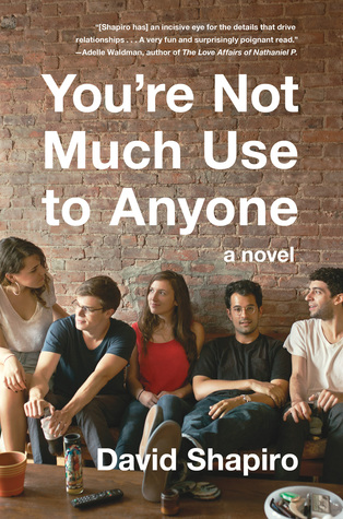 You're Not Much Use to Anyone by David   Shapiro