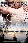 Love in a Small Town (Pine Harbour #1)